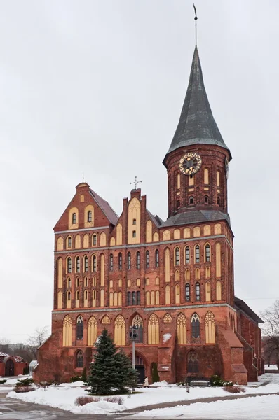 Koenigsberg katedrála — Stock fotografie