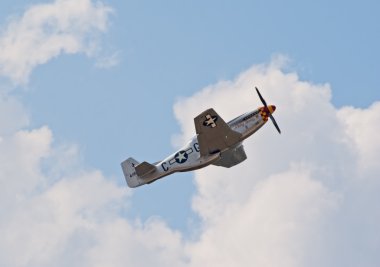p-51 mustang 