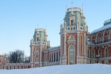 Ana Saray tsaritsyno Emlak