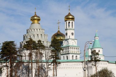 Yeni Kudüs Manastırı 1656 yılında Istra şehrinde inşa edilmiştir. 