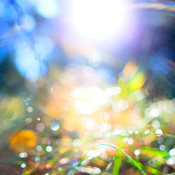 Soyut doğa arkaplanı