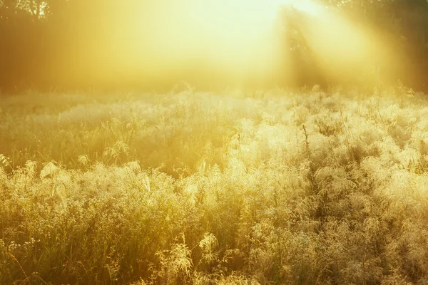 Lever de soleil Image En Vente