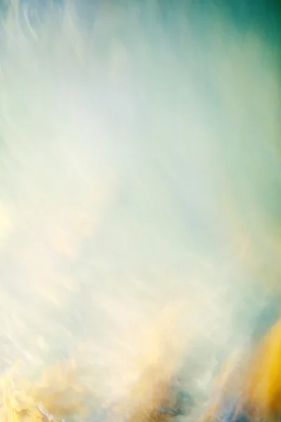 bulanık arka plan doğa