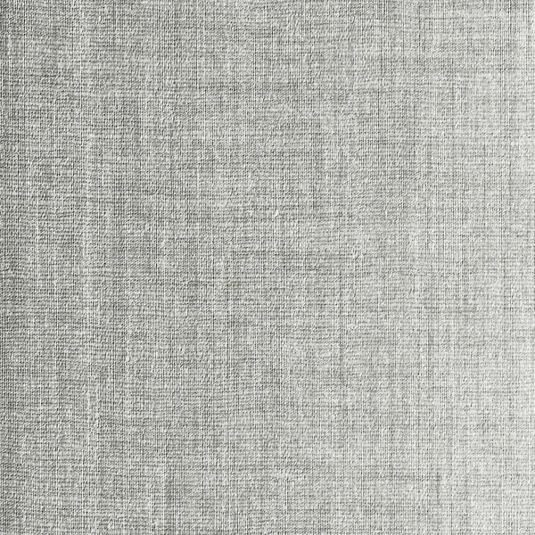 Textura Relieve Gris Una Superficie Plana Especies Modernas — Foto de Stock