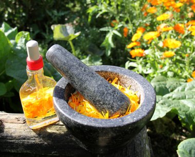 Natural medicine marigold clipart