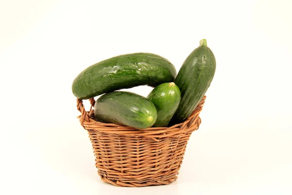 Pepino — Foto de Stock