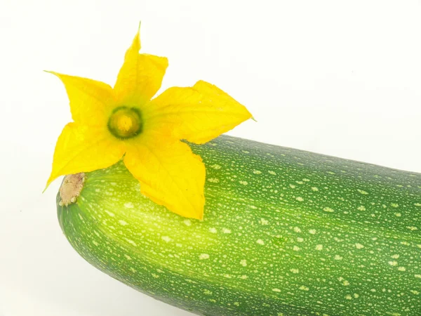 Zucchini — Stock Photo, Image