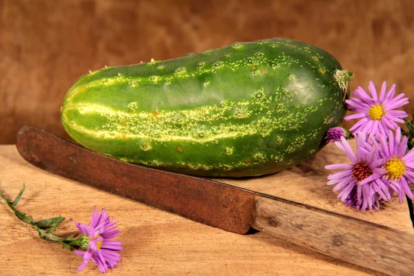 Cucumber marquetry — Stock Photo, Image