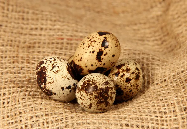 Ovos pequenos — Fotografia de Stock