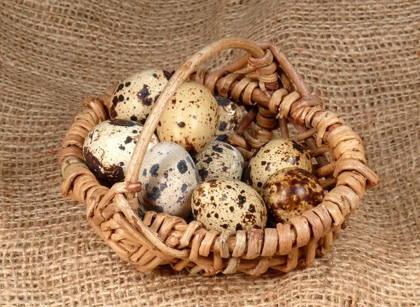 Маленькие яйца — стоковое фото