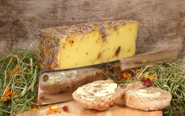 Wildblumenkäse — Stockfoto