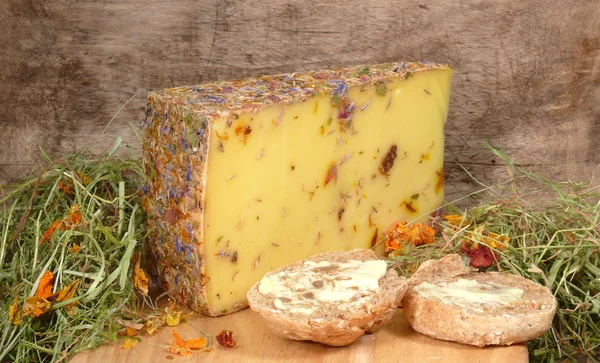 Wildblumenkäse — Stockfoto