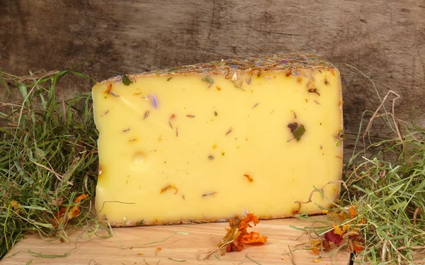 Kır çiçeği peynir — Stok fotoğraf