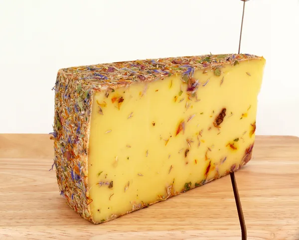 Fromage de fleur sauvage — Photo