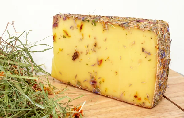 Wild flower cheese — Stock Photo, Image