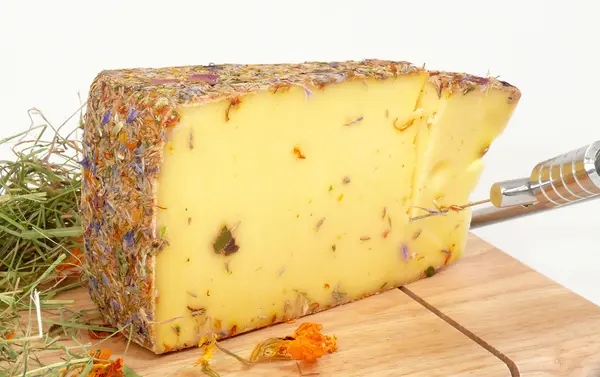 Kır çiçeği peynir — Stok fotoğraf