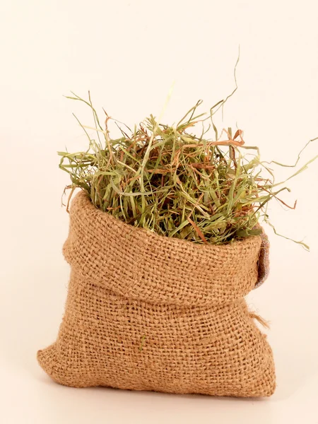 Сухая трава — стоковое фото
