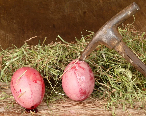血腥的鸡蛋 — 图库照片