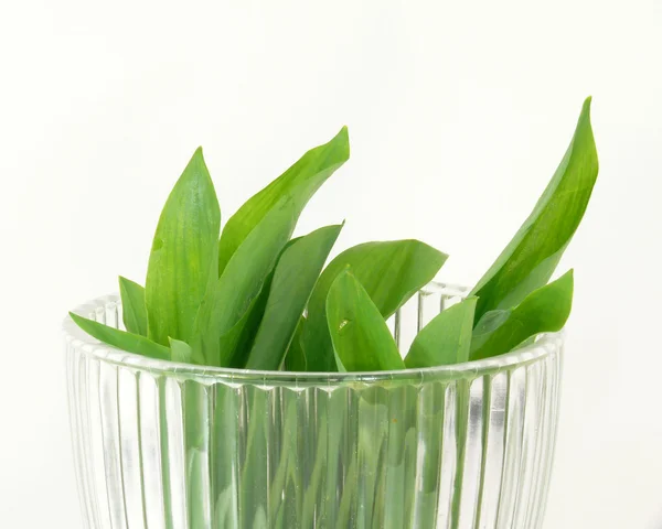 Garlic — Stock Photo, Image