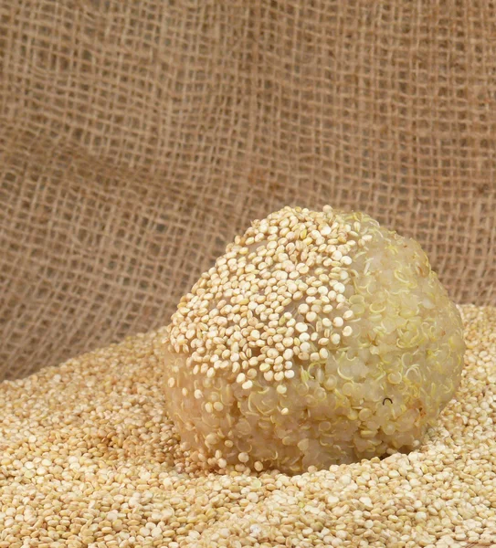 Quinoa — Stock Fotó