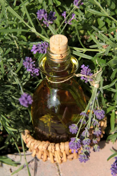 Lavender oil — Stock Photo, Image