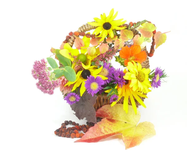 Autumn flowers — Stock Photo, Image