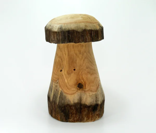 Fungo di legno — Foto Stock