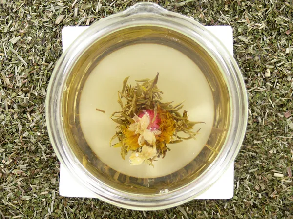Tea rózsa — Stock Fotó