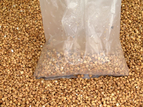 Buckwheat — Stock Photo, Image