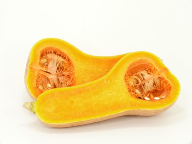 Butternut