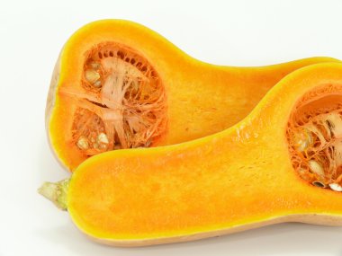 Butternut