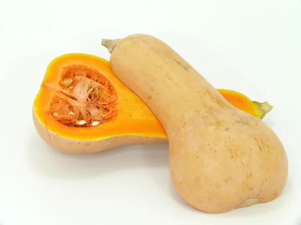 Butternut — Stock Photo, Image