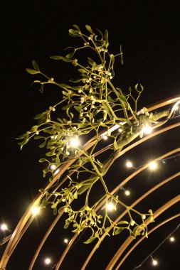 gece ışık eğrisi