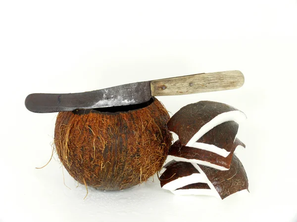 Open coconut — Stock Photo, Image