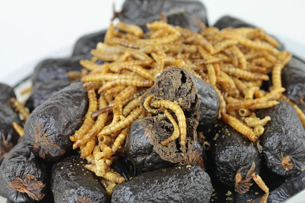 Alimentos Para Animais Estimação Cães Salsicha Lanche Larvas Hermetia — Fotografia de Stock