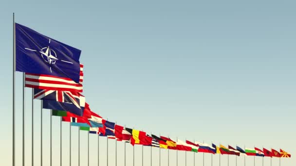 As bandeiras dos países membros da Aliança da NATO contra o céu — Vídeo de Stock