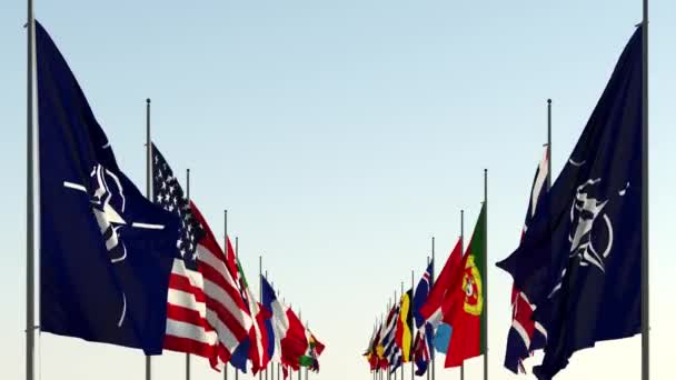 나토 연맹의 회원국들 이 하늘을 향해 국기를 흔들고 있는 모습 — 비디오