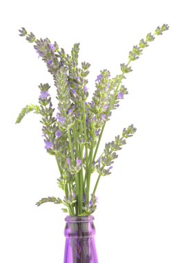 Mor şişe lavanta kaynaklanıyor