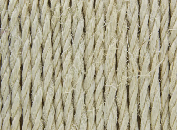 Textura das cordas - linhas retas — Fotografia de Stock