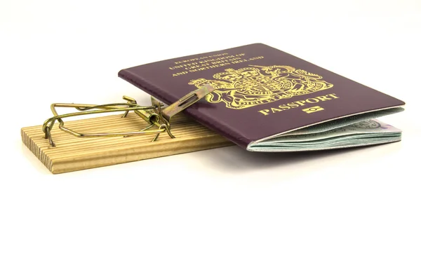 여권 갇혀 마우스 트랩 — 스톡 사진