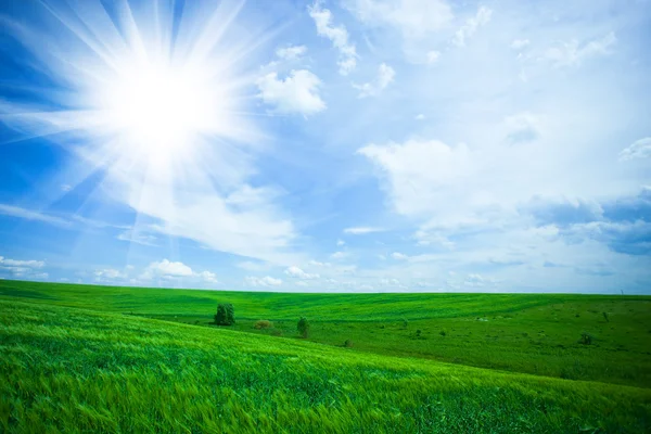 Green field and blue sky — Stock Photo, Image