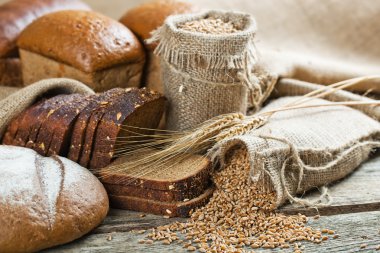 ekmek ve çavdar spikelets