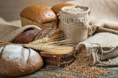 ekmek ve çavdar spikelets