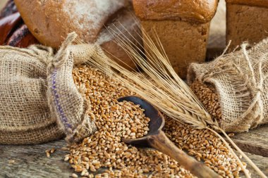 ekmek ve çavdar spikelets