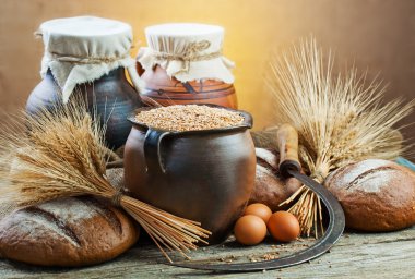 ekmek ve çavdar spikelets