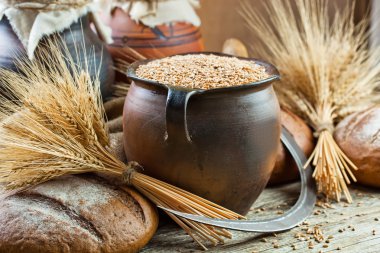 ekmek ve çavdar spikelets