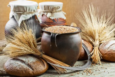 ekmek ve çavdar spikelets