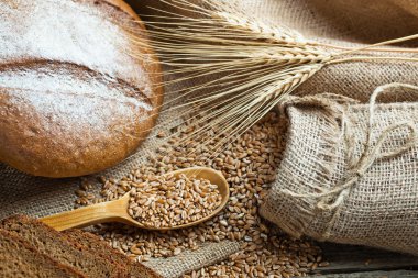 ekmek ve çavdar spikelets