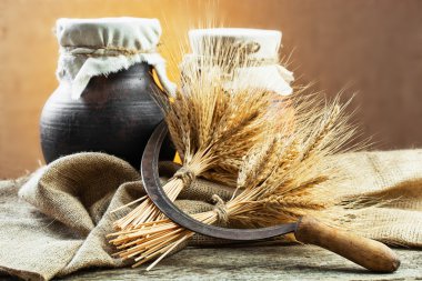 ekmek çavdar spikelets