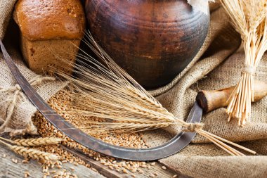 ekmek ve eski arka planda spikelets